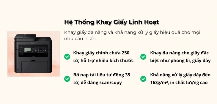 khay-giay-244dw