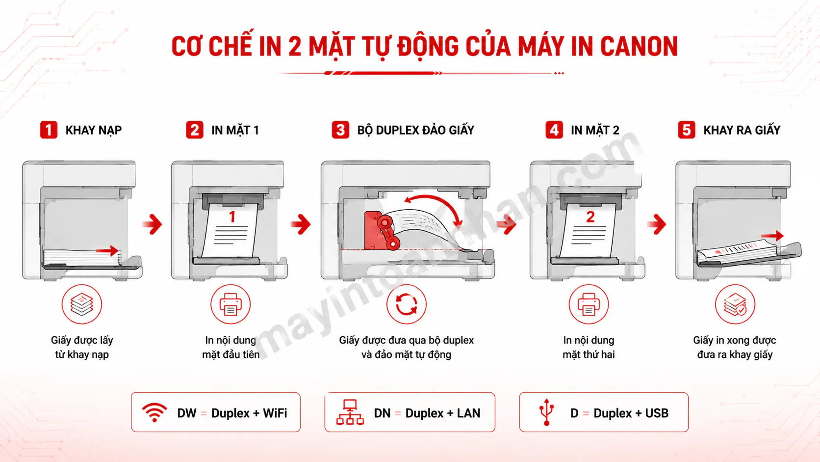 Infographic giải thích cơ chế in 2 mặt tự động - sơ đồ minh họa luồng giấy trong máy, từ khay nạp → in mặt 1 → bộ duplex đảo giấy → in mặt 2 → khay ra giấy. Style: flat design, bố cục ngang, màu xanh-trắng theo nhận diện Canon