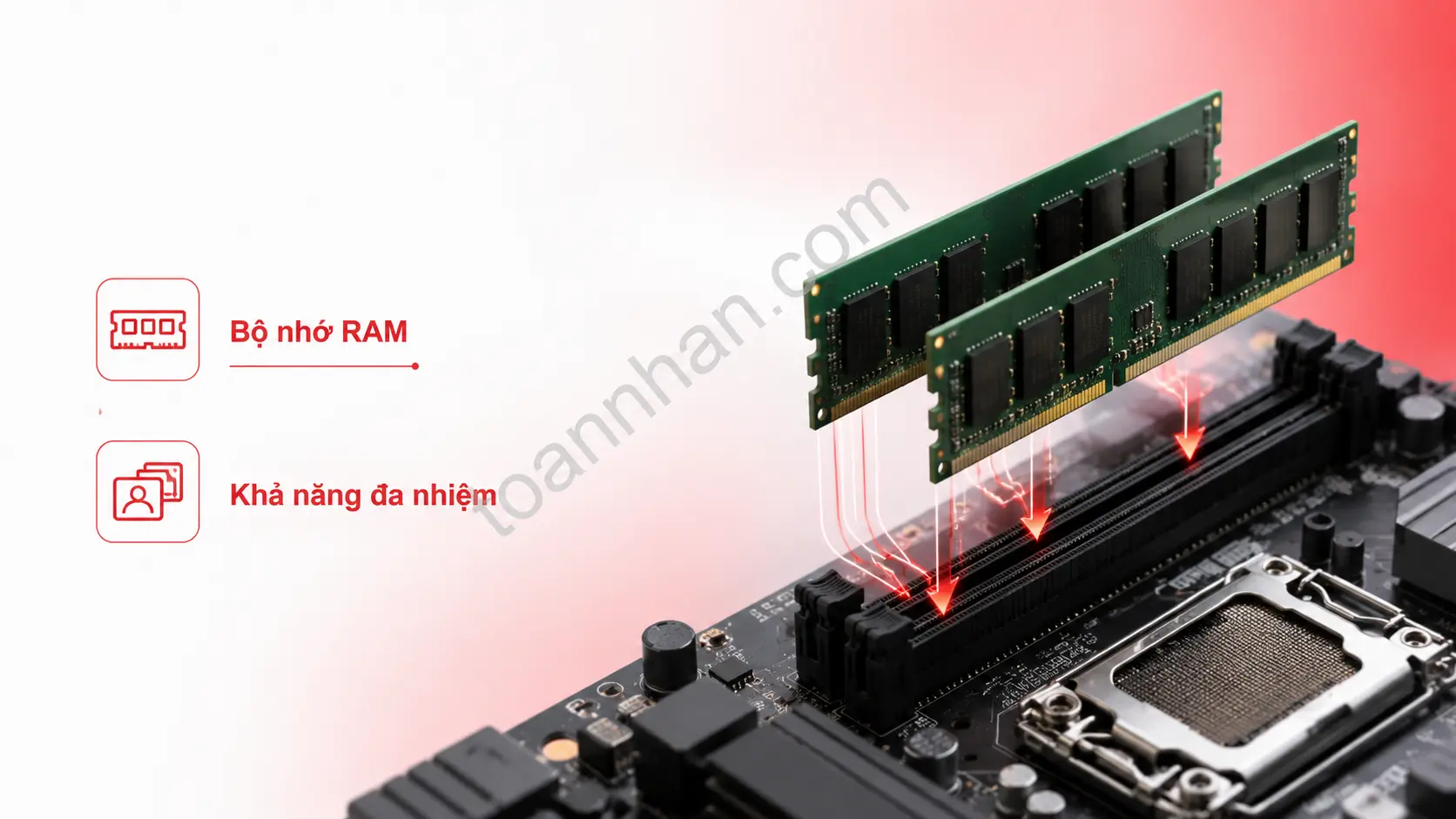 Hai thanh RAM máy tính được lắp vào khe cắm trên bo mạch chủ