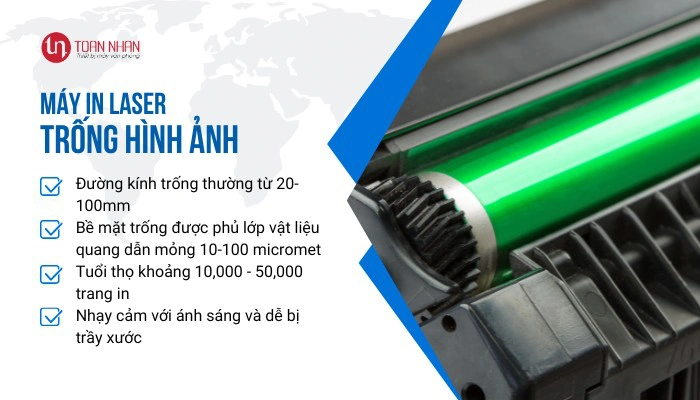 Đặc điểm trống hình ảnh trong máy in laser