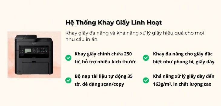 khay-giay-244dw