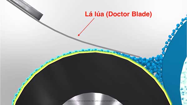 loi la lua