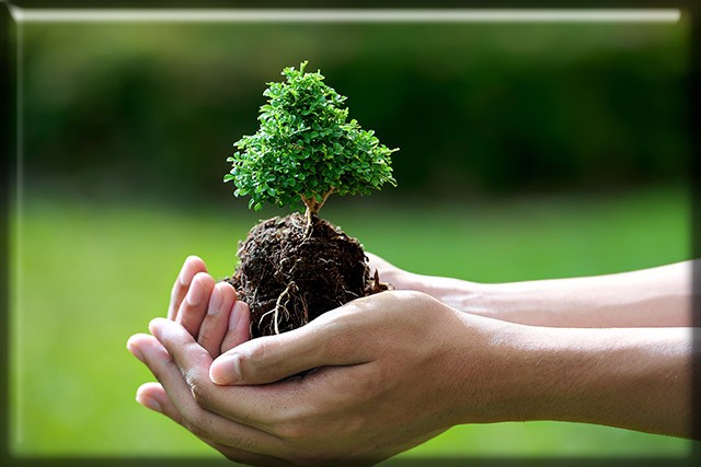 tái cế mực để bảo vệ môi trường
