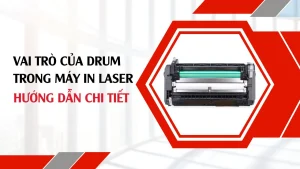 Vai trò của drum trong máy in laser - Hướng dẫn chi tiết